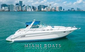 42' Sea Ray yacht in Miami. Private yacht charters provided by Miami Boats Rental.
