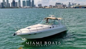 The 45' Sea Ray yacht on the water with Miami Downtown on the background.