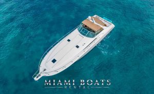 50 ft Sea Ray Stocks and Blondes Yacht Miami 1