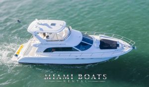 Top-down angle of the 55’ Sea Ray Sedan ‘Island Itch’ highlighting the curved flybridge with enclosed helm, cushioned foredeck sun pad, and aerodynamic design as it glides through green waters under the Miami sun.